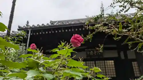 冷雲院(大阪府)