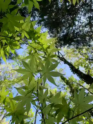 滑川神社 - 仕事と子どもの守り神(福島県)