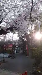 居木神社の御朱印