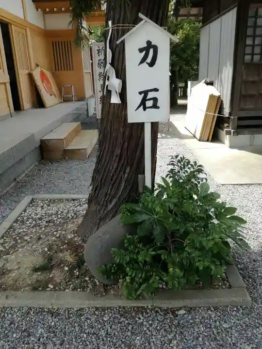 武蔵第六天神社の自然