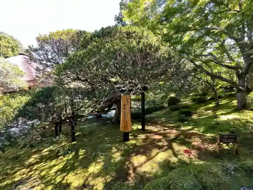 円通院(宮城県)