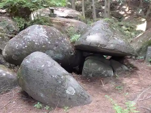 名草厳島神社の自然