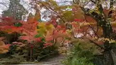 鍬山神社(京都府)