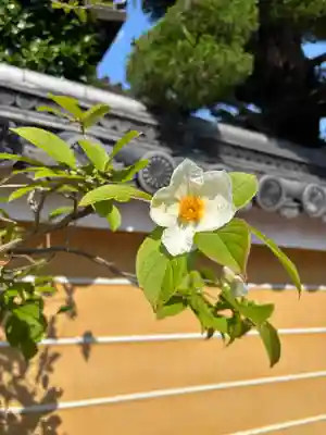中山寺(兵庫県)