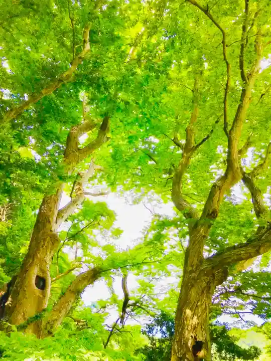 阿夫利神社(千葉県)