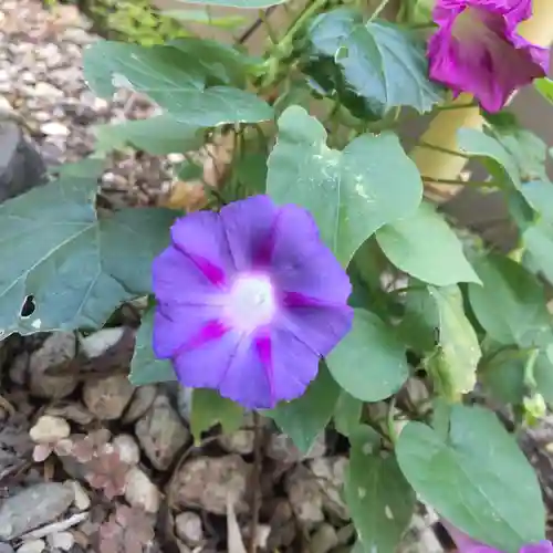 七重浜海津見神社(北海道)