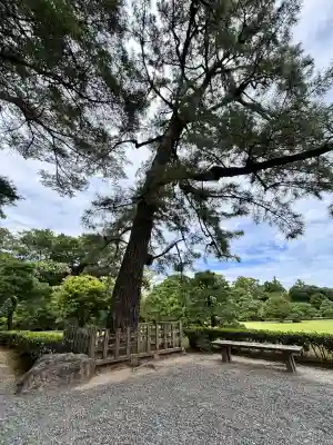 伊勢神宮内宮（皇大神宮）(三重県)