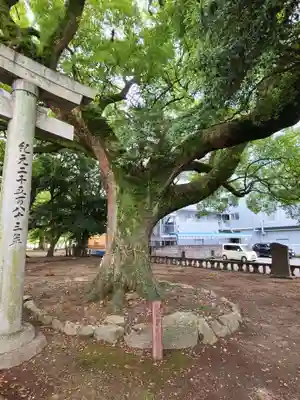 諏訪神社(福岡県)