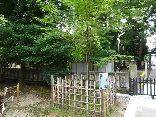 布多天神社の自然