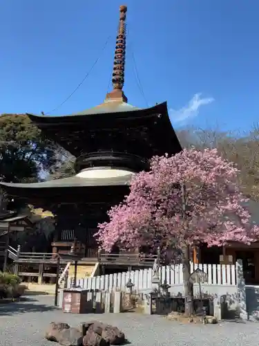 楽法寺（雨引観音）(茨城県)