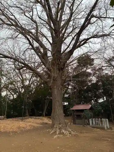 唱行寺(千葉県)