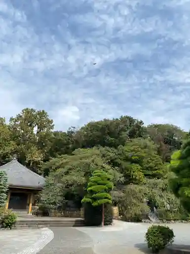 東福寺の景色