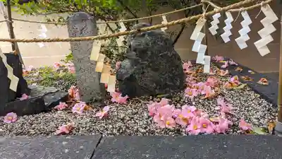 梅宮大社(京都府)