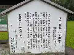 大水上神社(香川県)