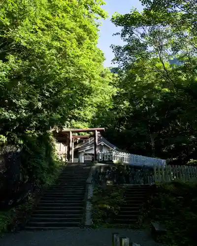 戸隠神社奥社(長野県)