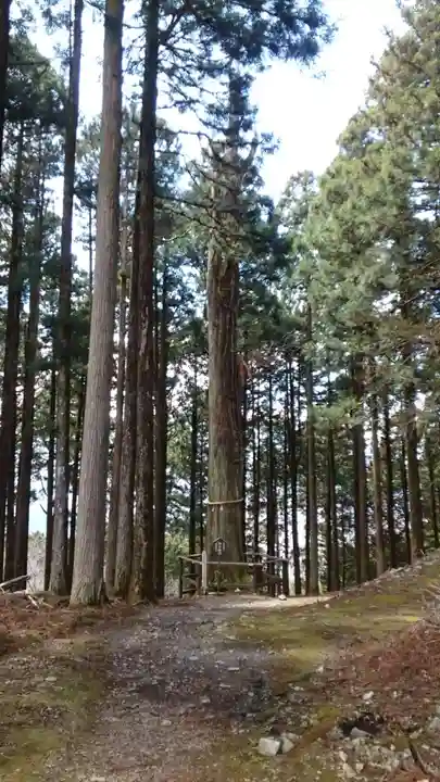 身延山奥之院思親閣(山梨県)