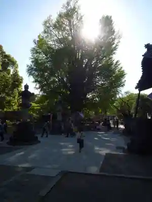 鑁阿寺(栃木県)