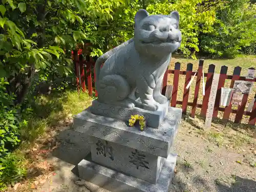 大江神社の狛犬