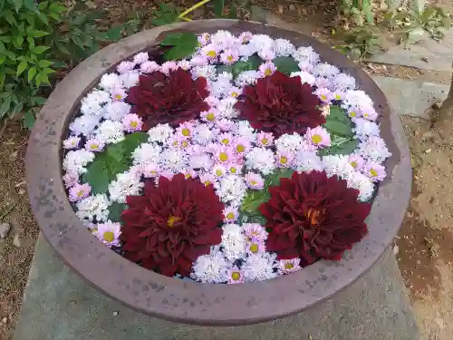 徳星寺(埼玉県)