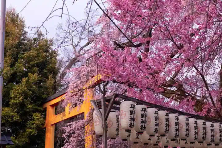 平野神社(京都府)