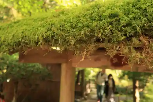 寂光院(京都府)