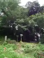 出水不動尊(茨城県)