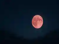 木舟山 順教寺(広島県)