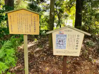 白山比咩神社(石川県)