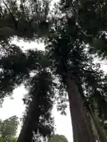 大宮温泉神社(栃木県)