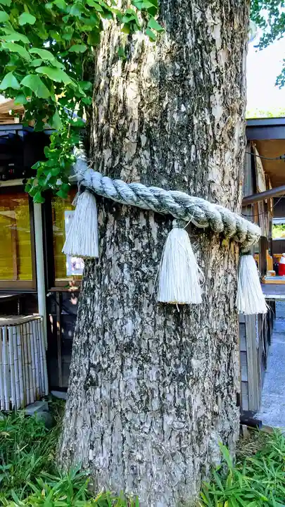 菊田神社の自然