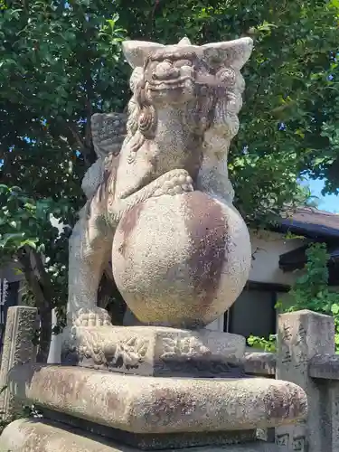 金刀比羅宮松山分社(愛媛県)