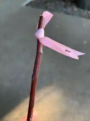 上目黒氷川神社(東京都)