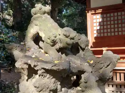 平塚神社の狛犬