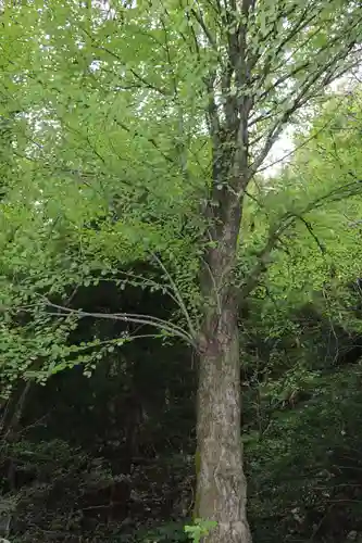 白龍神社(滋賀県)