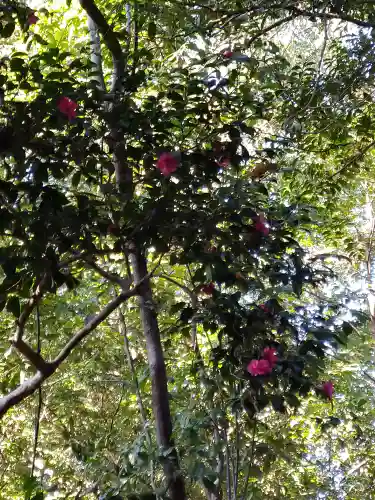 岡崎神社の自然