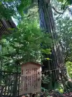 須佐神社の自然