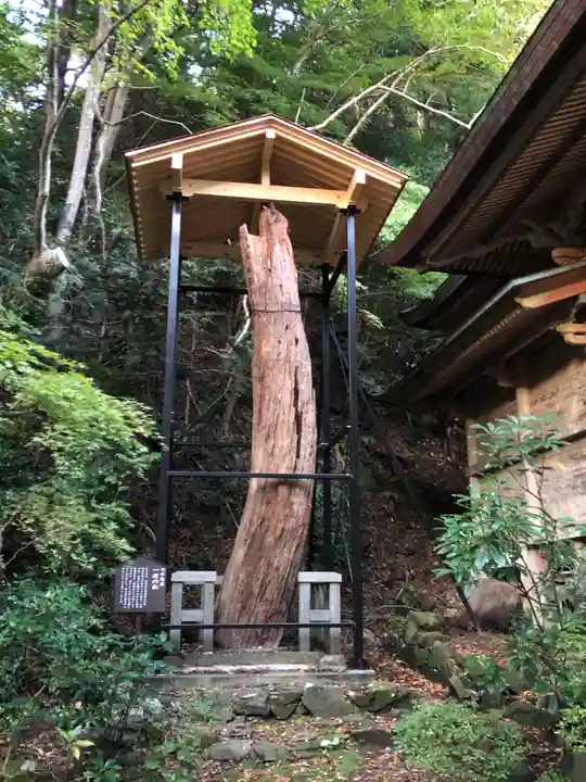 柳津虚空蔵尊 寳性院の自然