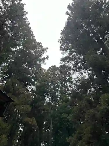 大宮温泉神社(栃木県)