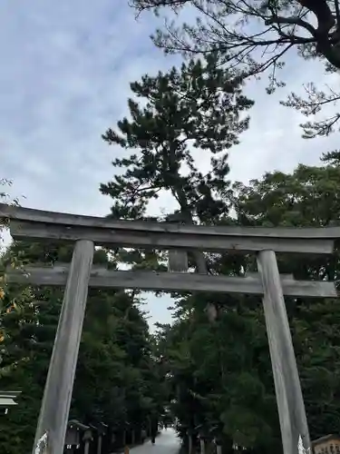 寒川神社の鳥居