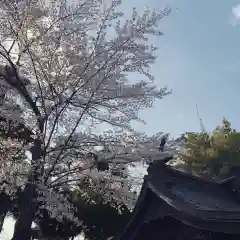 豊景神社の自然