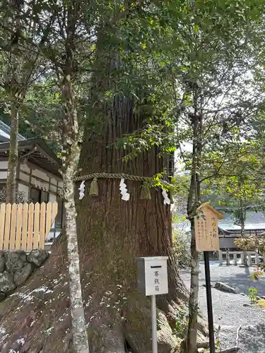 丹生川上神社（中社）(奈良県)