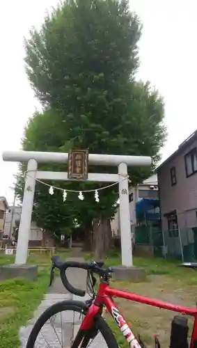 本行徳神明社（神明宮）(千葉県)