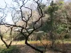 東慶寺の自然