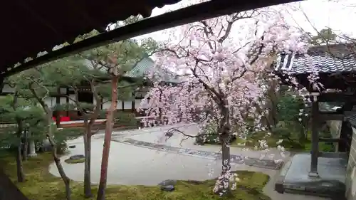 妙顯寺（妙顕寺）の庭園