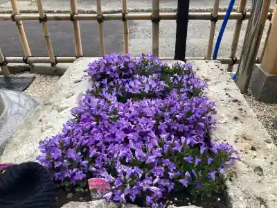 山蒼稲荷神社の{uncategorized: "未分類", other: "その他", undefined: "問題あり", building: "その他建物", grave: "お墓", sacred_gate: "鳥居", guardian: "狛犬", statue: "像", buddha: "仏像", history: "歴史", nature: "自然", garden: "庭園", animal: "動物", pagoda: "塔", temizu: "手水舎", mountain_gate: "山門・神門", sanctuary: "本殿・本堂", subordinate: "末社・摂社", art: "芸術", scenery: "景色", jizo: "地蔵", ema: "絵馬", goshuin: "御朱印", omikuji: "おみくじ", items: "授与品その他", amulet: "お守り", goshuincho: "御朱印帳", eats: "食事", festival: "お祭り", votive_dance: "神楽", shichigosan: "七五三参", wedding: "結婚式", experience: "体験その他", initially: "初詣", around: "周辺", anti_infection: "感染症対策"}
