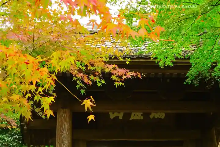 円覚寺(神奈川県)