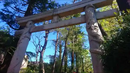 馬橋稲荷神社の鳥居