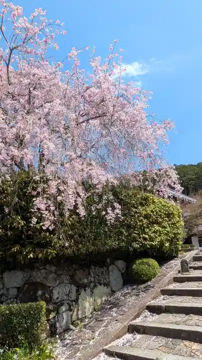 圓光寺(京都府)