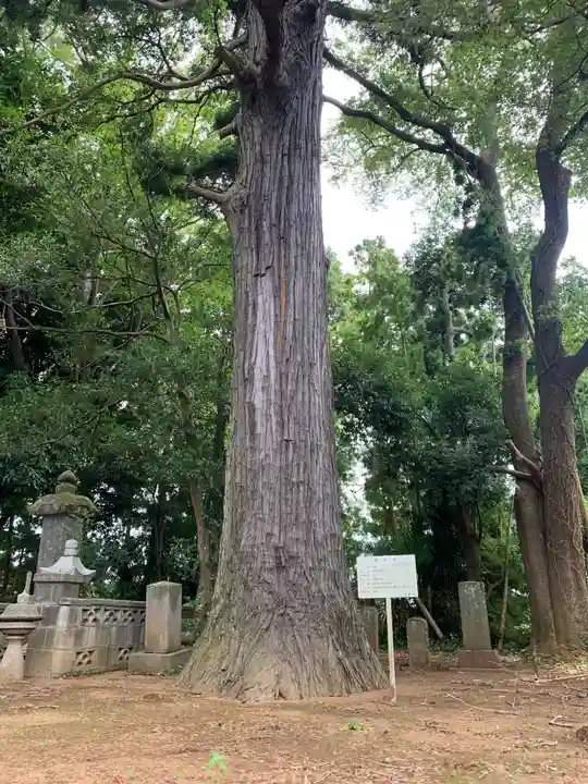妙勝寺(千葉県)
