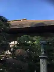 常光院の本殿